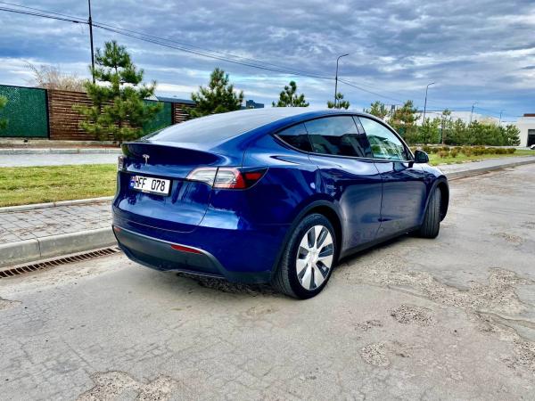Tesla Y